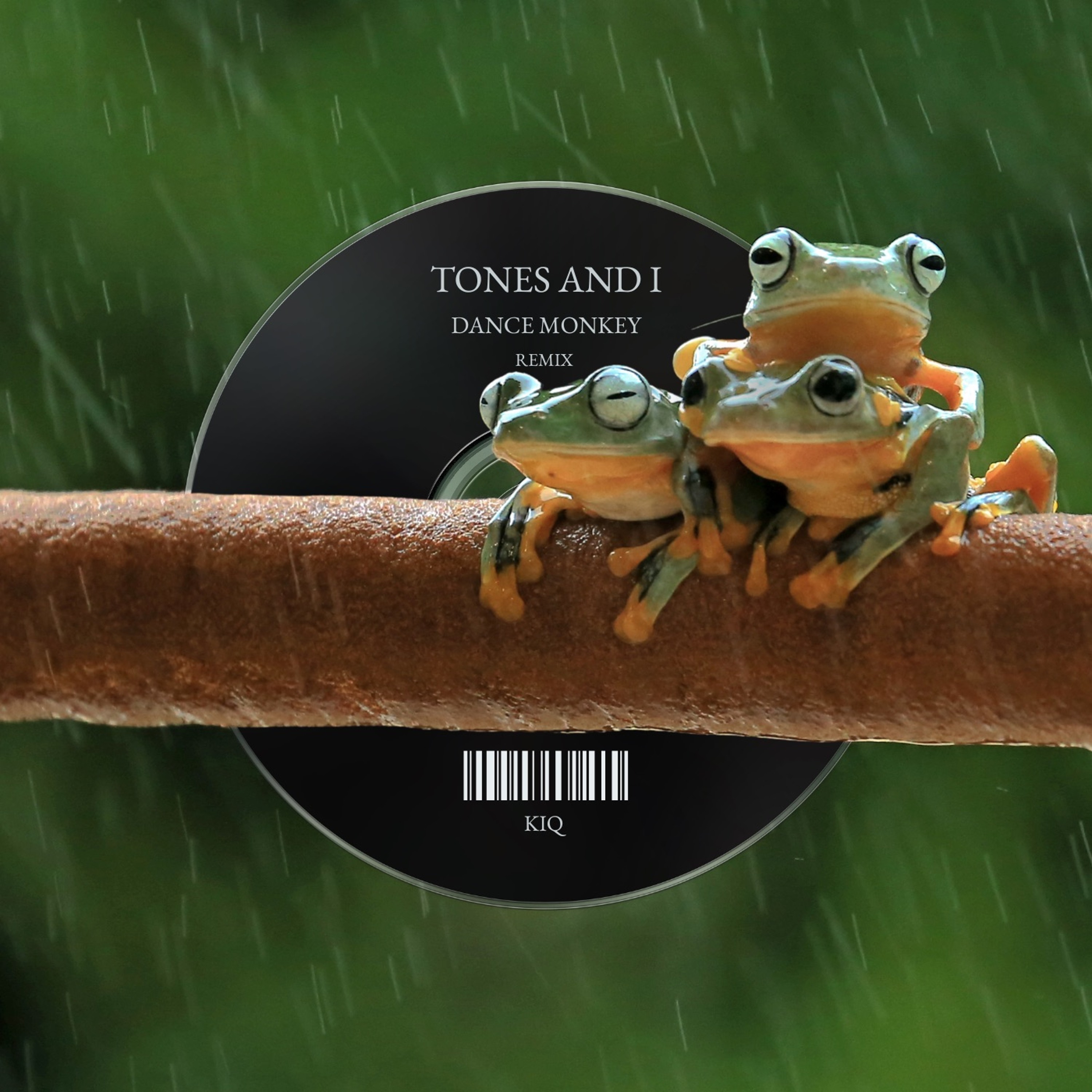 Track cover