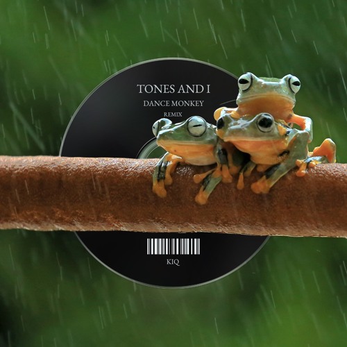 Tones and I - Dance Monkey (KIQ Remix) Deep House