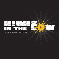 Flood in Franklin Park