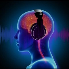 Human Beat