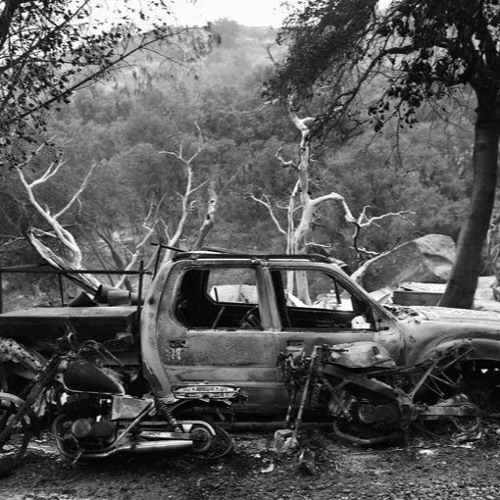 FX4D - ___________________________