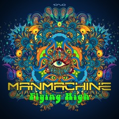 Flying High (Original Mix)