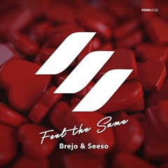 Brejo & Seeso - Feel The Same (Original Mix)