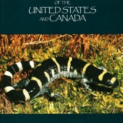 Read EPUB 💙 Salamanders of the United States and Canada by  James Petranka EPUB KIND