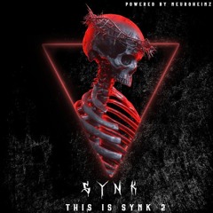 THIS IS SYNK 2 (Powered by Clone)