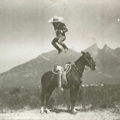 Tomato Tapes - Side D