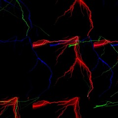 CLUB LIGHTS AT NIGHT