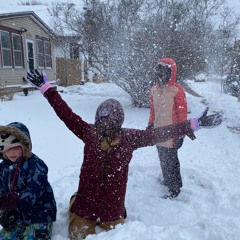 -Gentle Winter Snow-