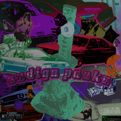 Kevilnius~audiga pauku