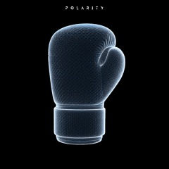 Polarity - Knock Out (FREE DL)