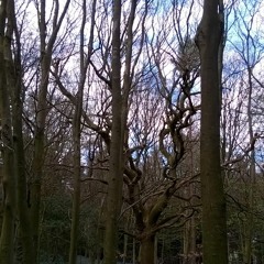 manonadune - The Tascam Project Part One - Mayday 2016