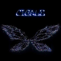 allö - Cigale