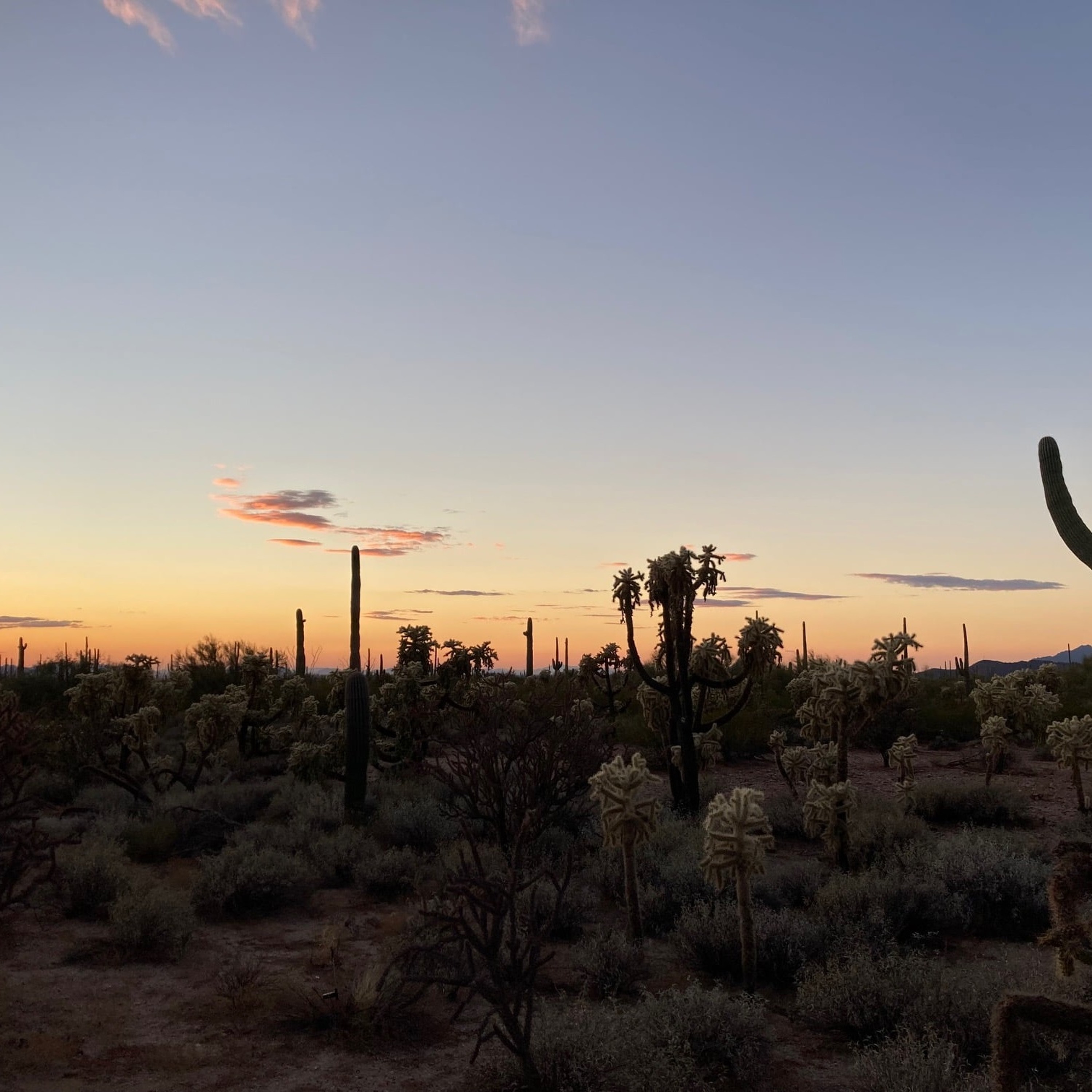 better than nothing desert minimal mix episode artwork