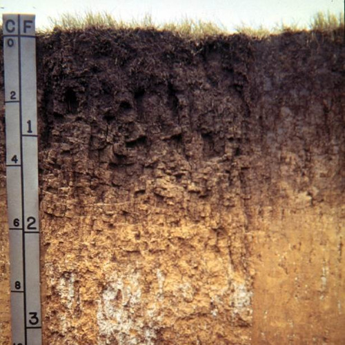 A Year in Rich Silt Loam