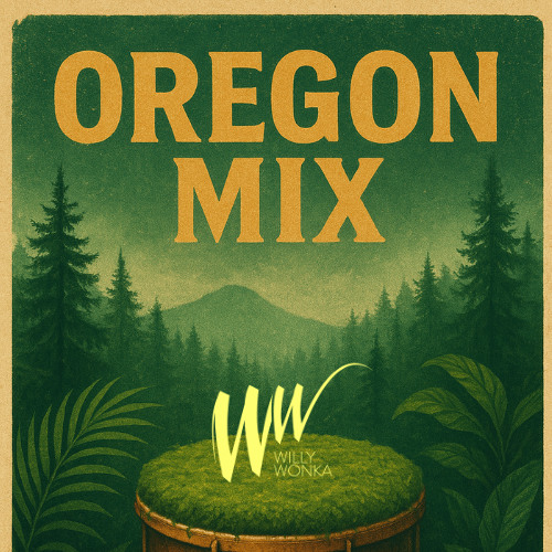 OREGON MIXTAPE | AFRO- CARIBBEAN VIBES