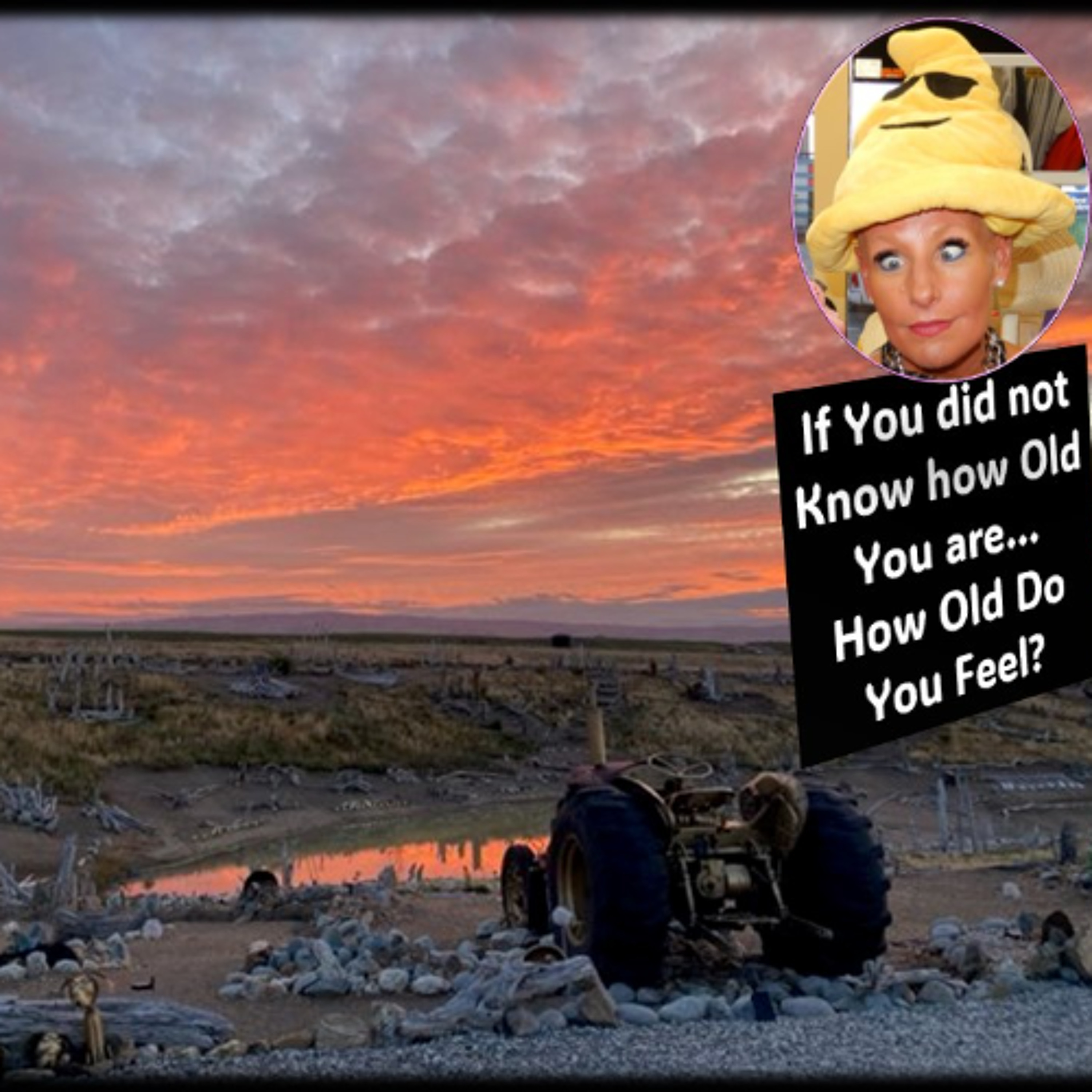 Older and Better or Just Older...wirth Rowie McEvoy