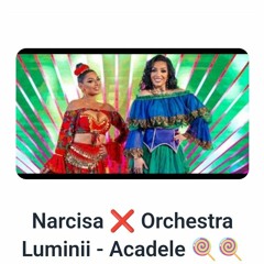 Narcisa și Orchestra Luminii - Acadele