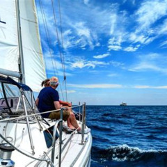 Review Special Price Come Sailing With Us At Navy Pier: Sail Beautiful Lake Michigan