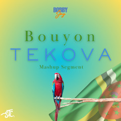 Bouyon Tekova - Mashup Segment | 2025 BOUYON MIX