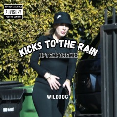 WILDDOG -  KICKS TO THE RAIN (Early VS Uptempo BOOTLEG) FREE DL