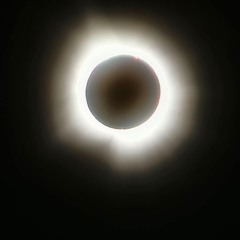 Watch The Party Die  Ft. Tidal Thomas