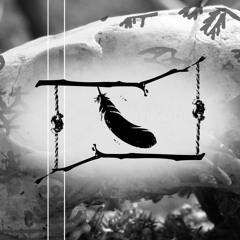Priest - Feathers and bones