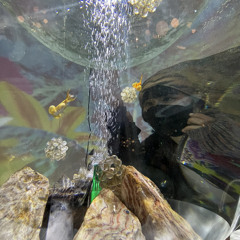 SO鬱Mixed by KUROMAKU(9609)