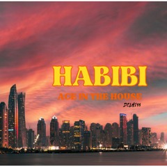 HABIBI (EXPLICIT) (Prod. KZlla)