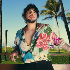 SOLTA A CARTA TIGRINHO - NATTAN - VERSÃO FORRÓ