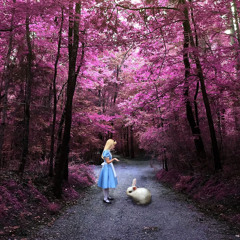 False Fairy Tale. (J.R.Capone. Mix).mp3