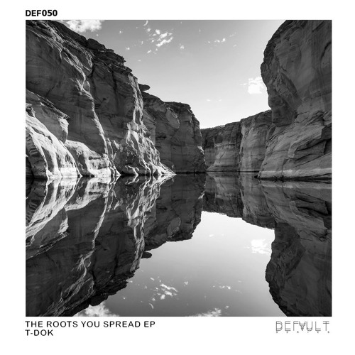 T-Dok - The Roots You Spread (Default Series)
