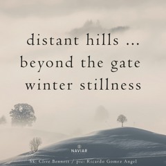Beyond The Gate (naviarhaiku476)