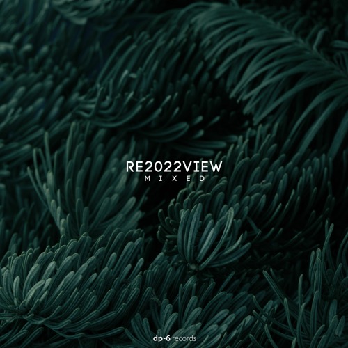 RE20222VIEW, mixed