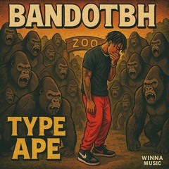 TYPE APE