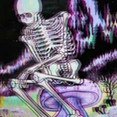 Slim Pimpin - Medusa Stonedd