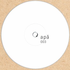 B1. Unknown Artist ~ 3.3 [apă003]