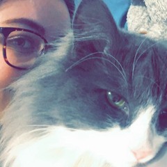 song for my cat scooter