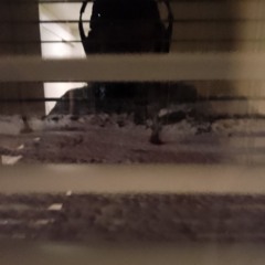 Ice Cold Trance