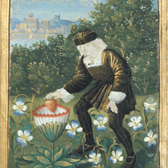 Troc de graines radiophonique au festival Plein Champ