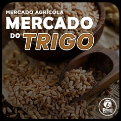 TRIGO teve semana de quedas nas cotações internacionais em razão da baixa demanda.