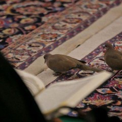 الصافات  (فلنعم المجيبون)