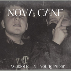 NOVA CANE - WaldoFR X Young Peter