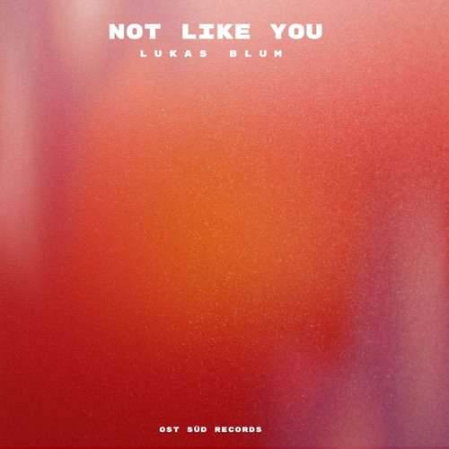 Not Like You (Extended Mix)