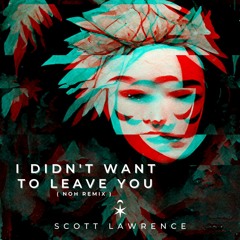 I Didn't Want To Leave You (Noh Remix)