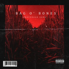 BAG O' BONES