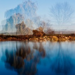 Three Voices In Error