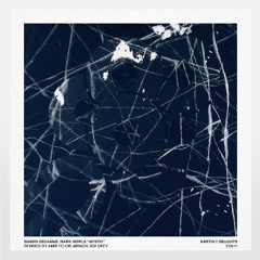 Swann Decamme, Mark Howls - Pacific (Amir Telem Remix) [Earthly Delights]