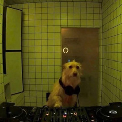 Feierabend mit groovemily