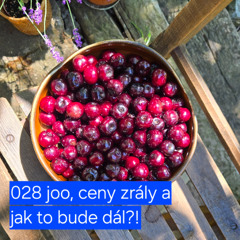 028 joo, ceny zrály a jak to bude dál?!