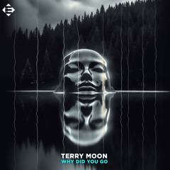 Terry Moon - Why Did You Go